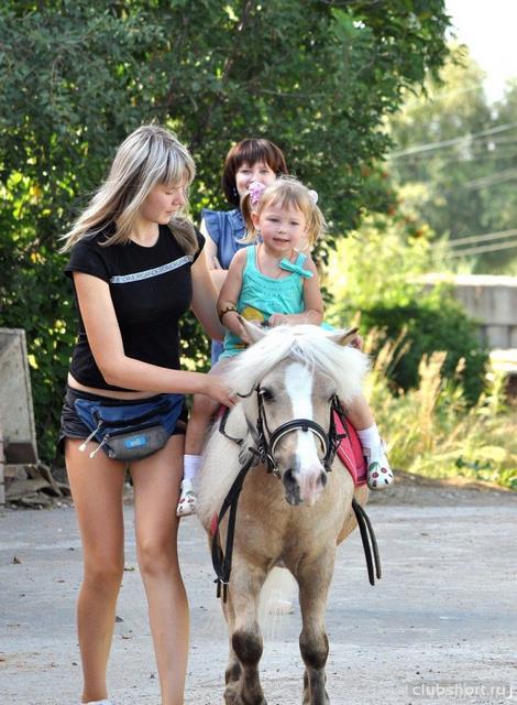 45287_horse752x1024.jpg